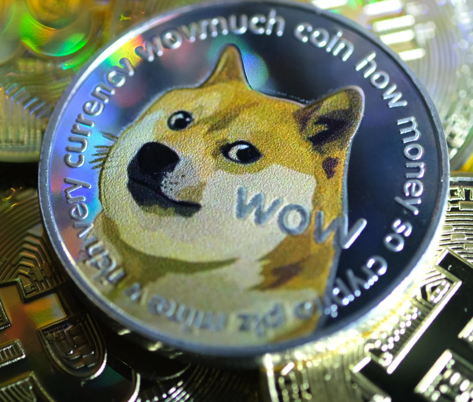狗狗币提到tp钱包_钱包狗狗币_狗狗币钱包怎么提币