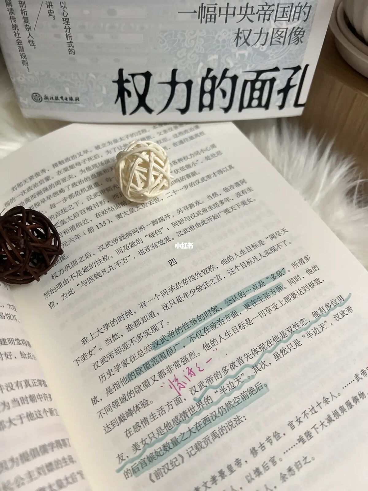 黑手的命令-我是这座城市的幕后黑手，无处不在，无人能逃