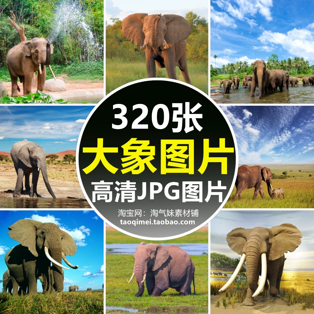 telegram怎么加入小组_小组加入失败_小组加入的好处文案