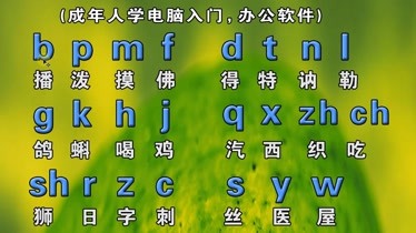 汉语拼音转韦氏拼音_韦氏拼音 在线转换_拼音转换