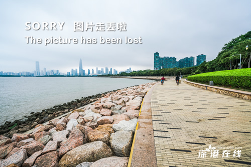 影舞者_dnf影舞者影戮_舞者影子图片