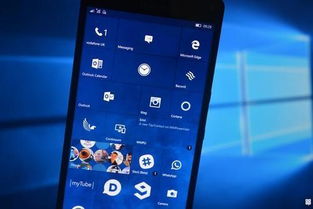 手机安卓windows系统,体验Wind