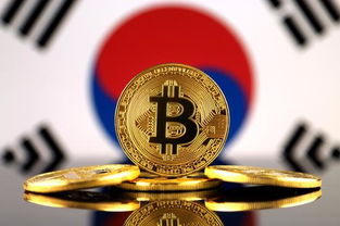 韩国对加密货币的调查,揭秘监管动向与市场
