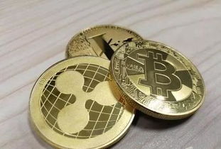 菲儿加密货币官网,探索创新金融科技的未来趋势