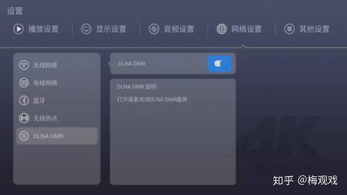 安卓系统 dlna,Android系统D