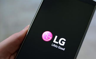 lg手机刷安卓10系统,LG手机刷入安卓