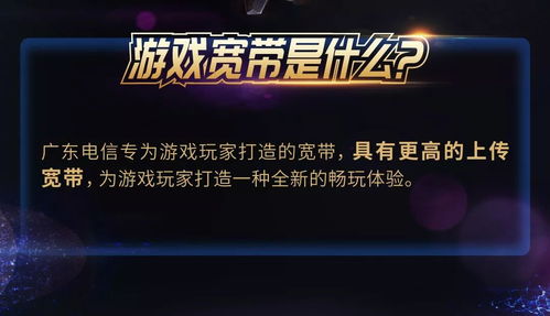 桂东电力居家合 