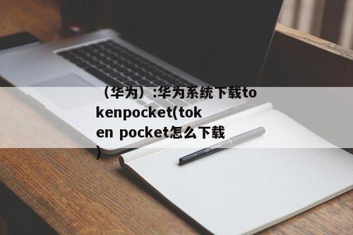 华为怎么使用tokenpocket,To