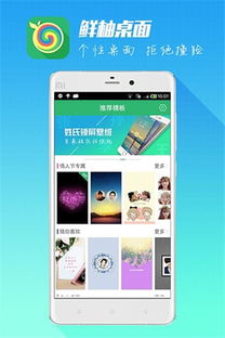 鲜柚安卓系统,创新体验与原生性能的完美融合”