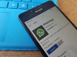 俄罗斯whatsapp用户量,社交巨头在