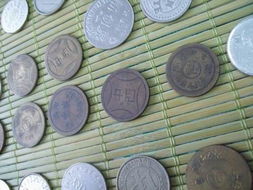 喜鹊追剧app无广告版最新下载 