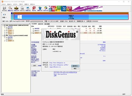 diskgenius安卓系统,高效磁盘管