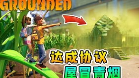 汽车迷游戏破解版中文 