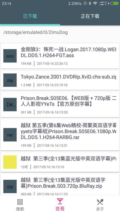 安卓系统字幕,畅享无障碍观影体验