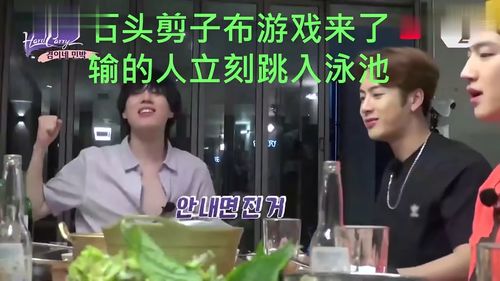 真恶狼传说游戏 