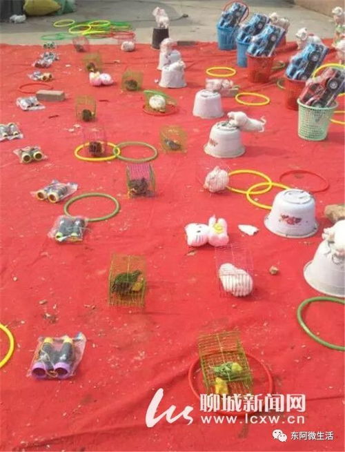 套圈大作战