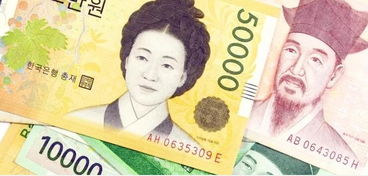 韩国兑现加密货币违法吗,韩国兑现加密货币