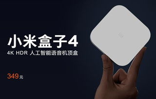 橙子4D动态壁纸 