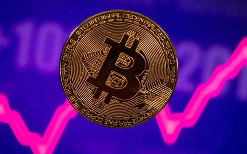超过1万加密货币,市场风云变幻下的财富密