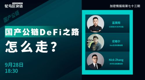 国产以太坊王座,引领区块链技术新篇章