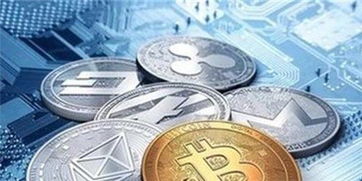多米尼加加密货币,探索数字货币的无限可能
