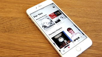 ios系统对比安卓10,全面对比解析