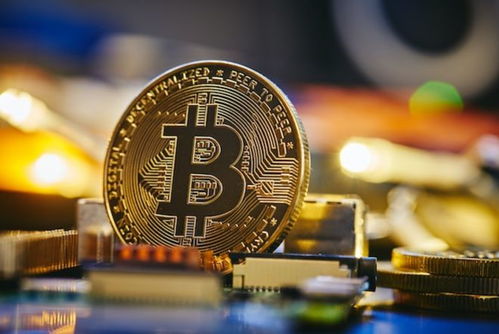 到底什么是加密货币政策,揭秘加密货币政策的本质与影响