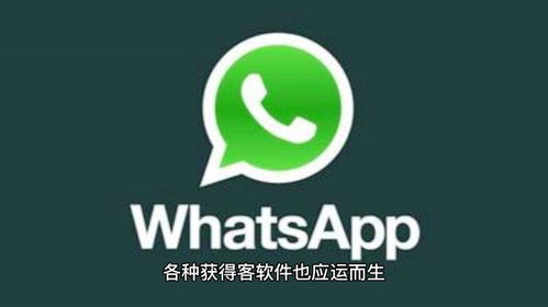 环球客whatsapp获客软件,揭秘高效获客利器
