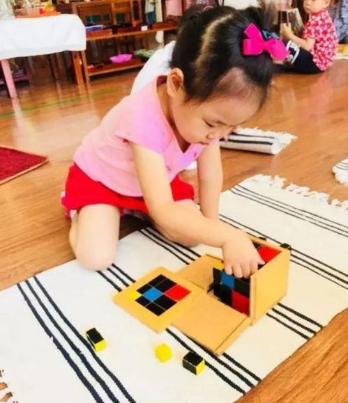 美食游戏家安卓版无弹窗下载v1.0.0 